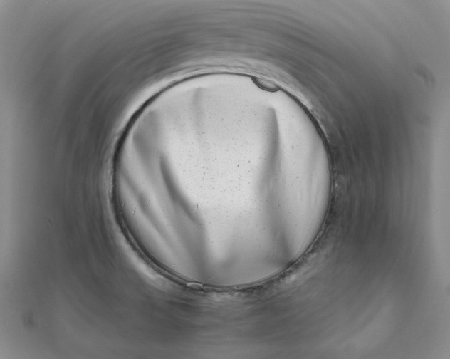 X0000111661523200907311127