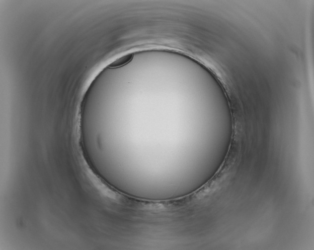 X0000111661524200907311127