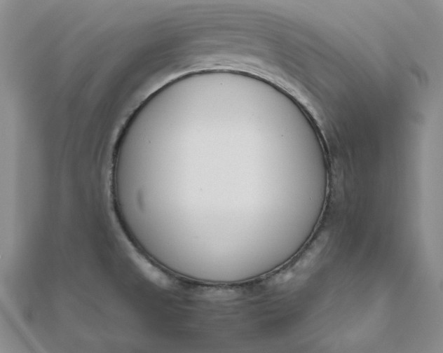 X0000111661525200907311127