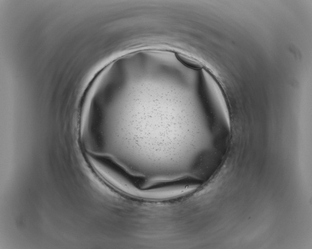 X0000111661526200907311127