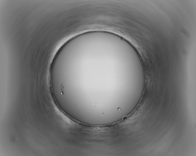 X0000111661527200907311127