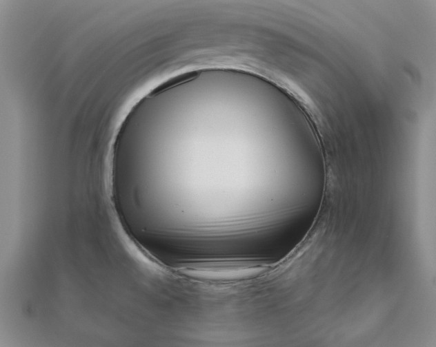 X0000111661528200907311127