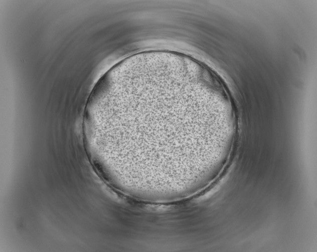 X0000111661529200907311127