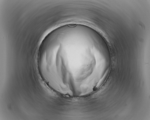 X0000111661530200907311127