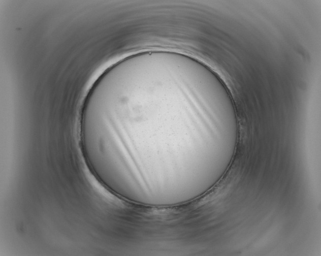 X0000111661531200907311127