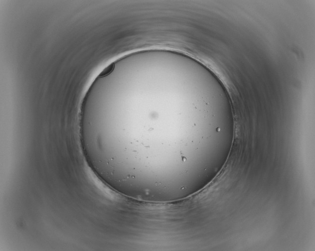 X0000111661532200907311127