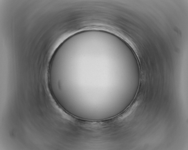 X0000111661533200907311127