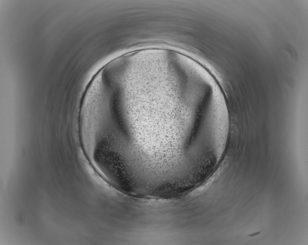 X0000111661534200907311127