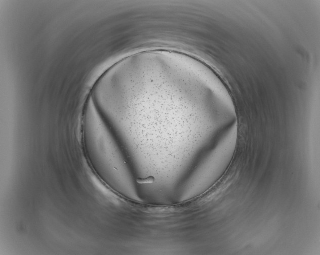 X0000111661535200907311127