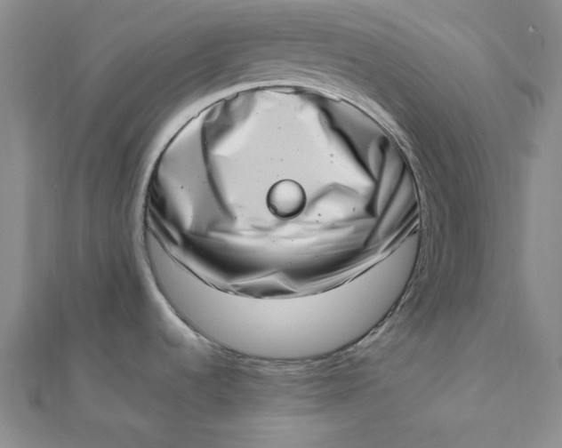 X0000111661536200907311127