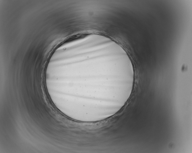 X0000111660001200908071445