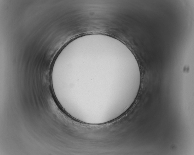 X0000111660002200908071445