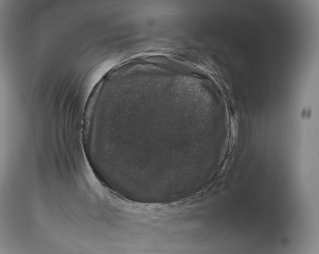 X0000111660003200908071445