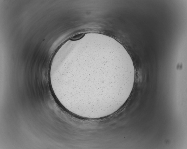 X0000111660004200908071445