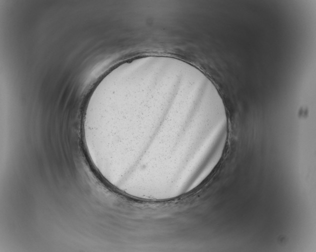 X0000111660005200908071445