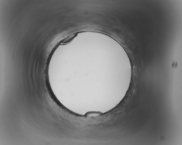 X0000111660007200908071445