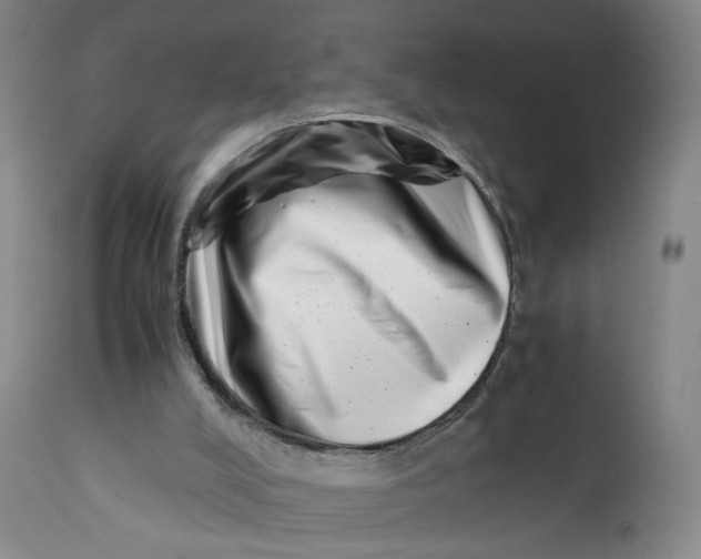 X0000111660008200908071445