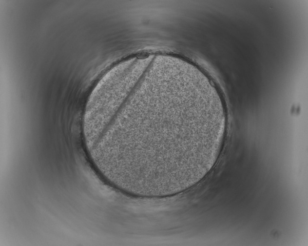 X0000111660009200908071445