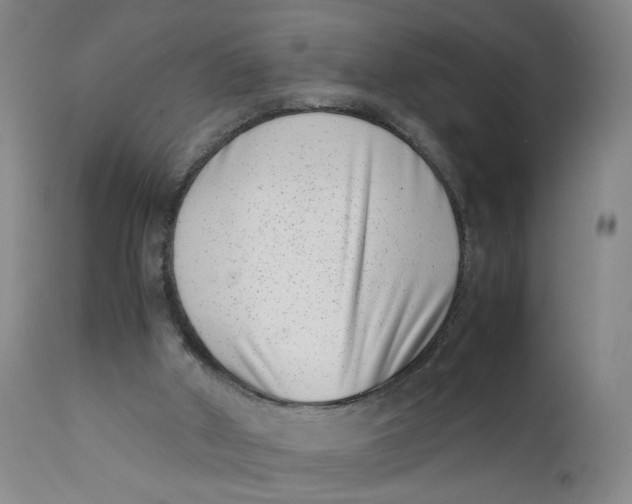 X0000111660010200908071445