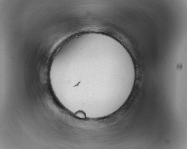 X0000111660012200908071445