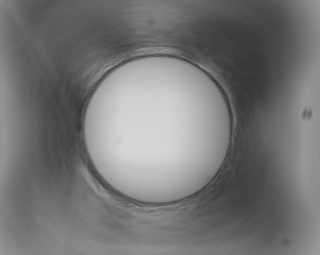 X0000111660013200908071445