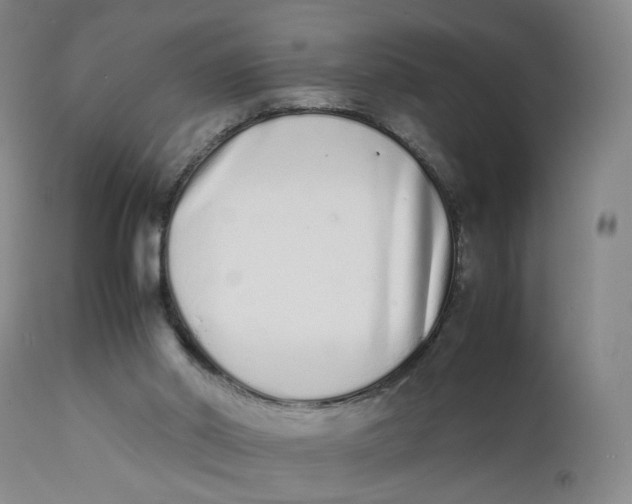 X0000111660014200908071445