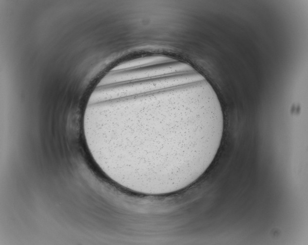 X0000111660016200908071445