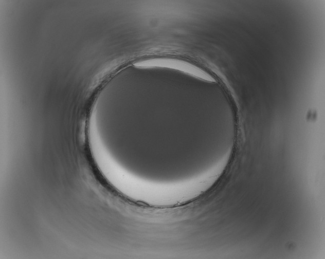 X0000111660019200908071444