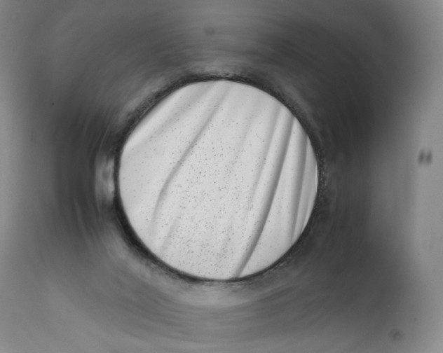 X0000111660020200908071444