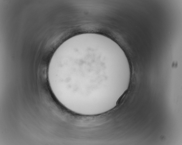 X0000111660021200908071444