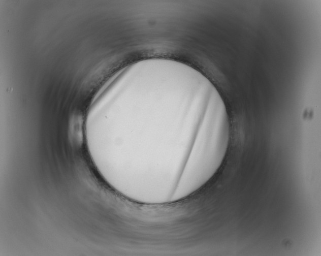 X0000111660022200908071444