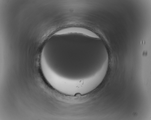 X0000111660023200908071444