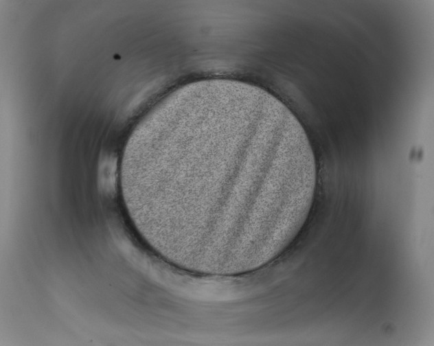 X0000111660024200908071444