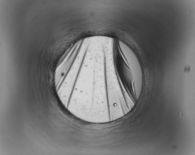 X0000111660025200908071444