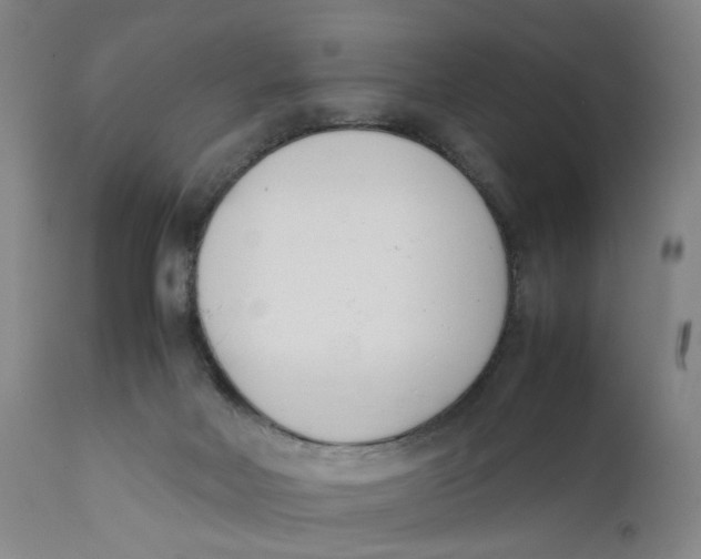 X0000111660026200908071444