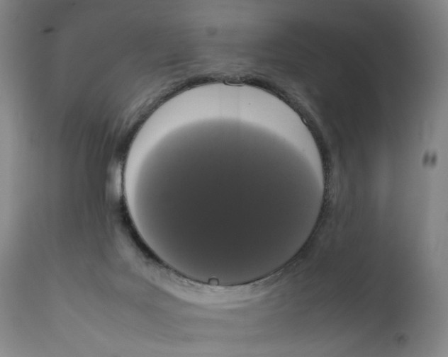 X0000111660027200908071444