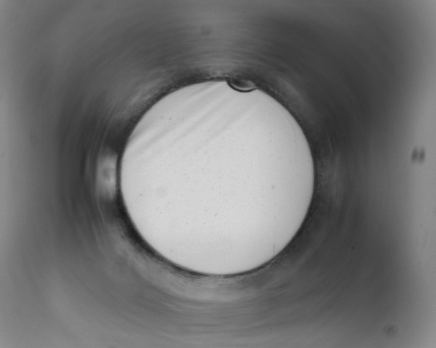 X0000111660028200908071444