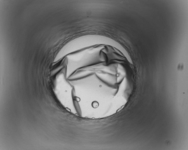 X0000111660029200908071444