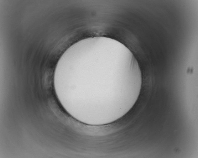 X0000111660030200908071444