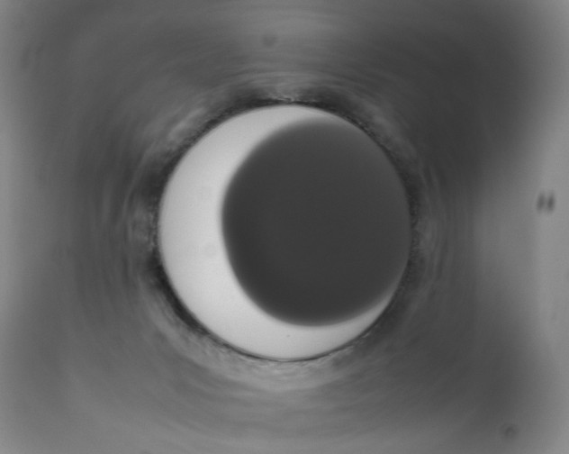 X0000111660031200908071444