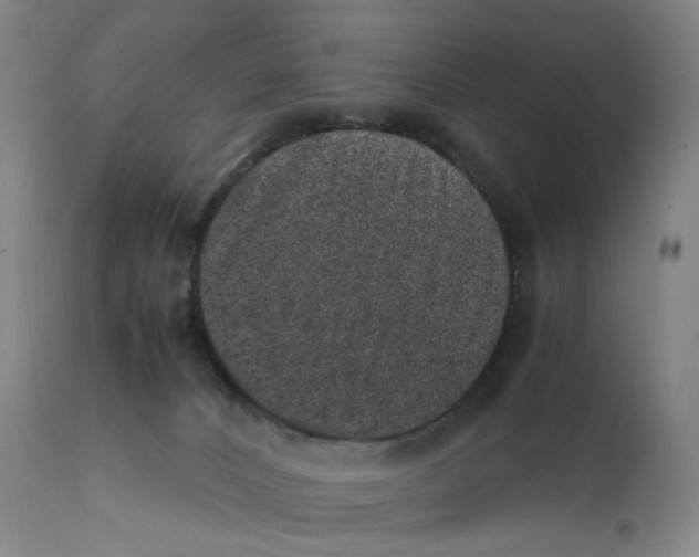 X0000111660032200908071444