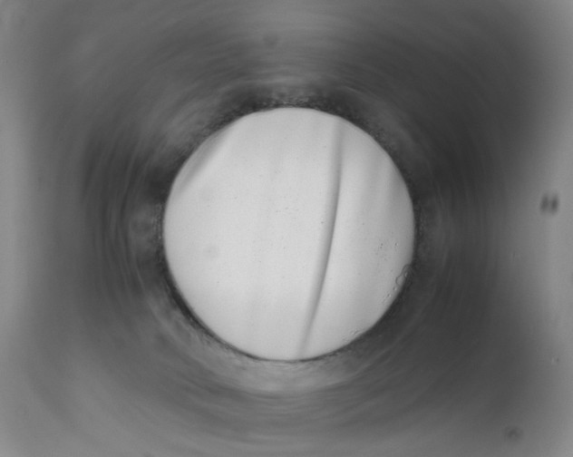 X0000111660034200908071444