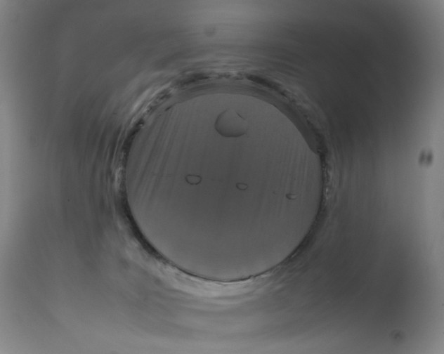 X0000111660035200908071444