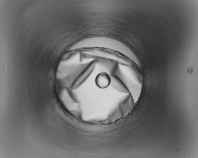 X0000111660036200908071444