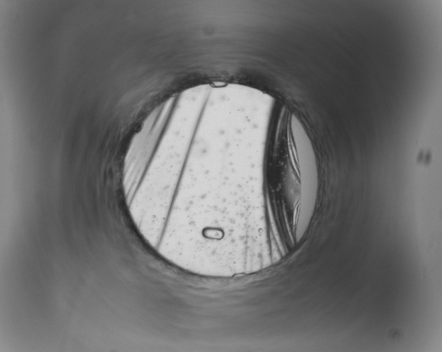 X0000111660037200908071444