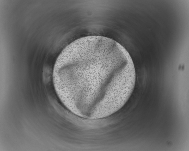 X0000111660038200908071444