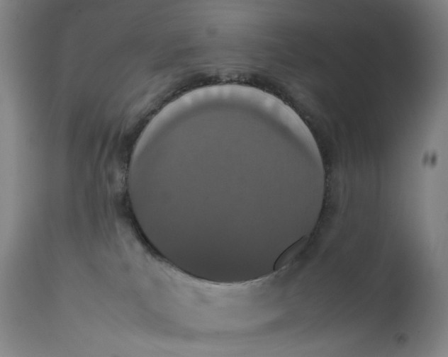 X0000111660039200908071444