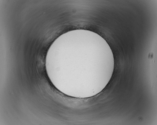 X0000111660040200908071444