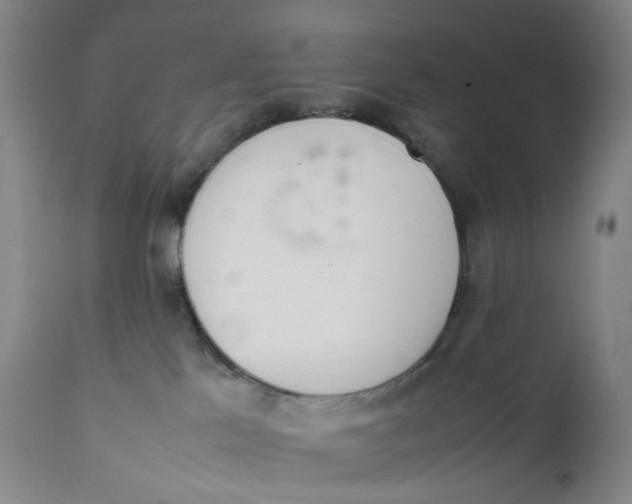 X0000111660041200908071444