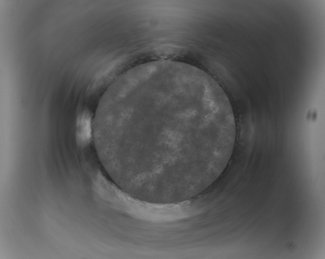 X0000111660042200908071444